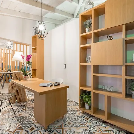 Akti Belvedere Color & Essence